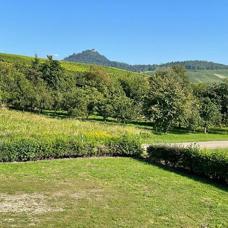 Ferienwohnung Reblandblick Baden-Baden Zewnętrze zdjęcie