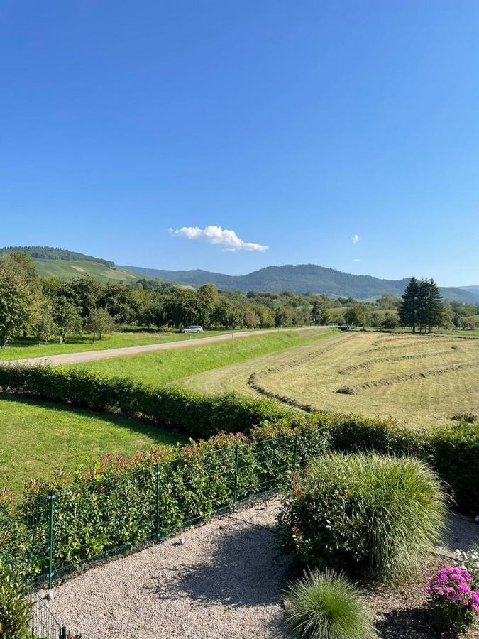 Ferienwohnung Reblandblick Baden-Baden Zewnętrze zdjęcie
