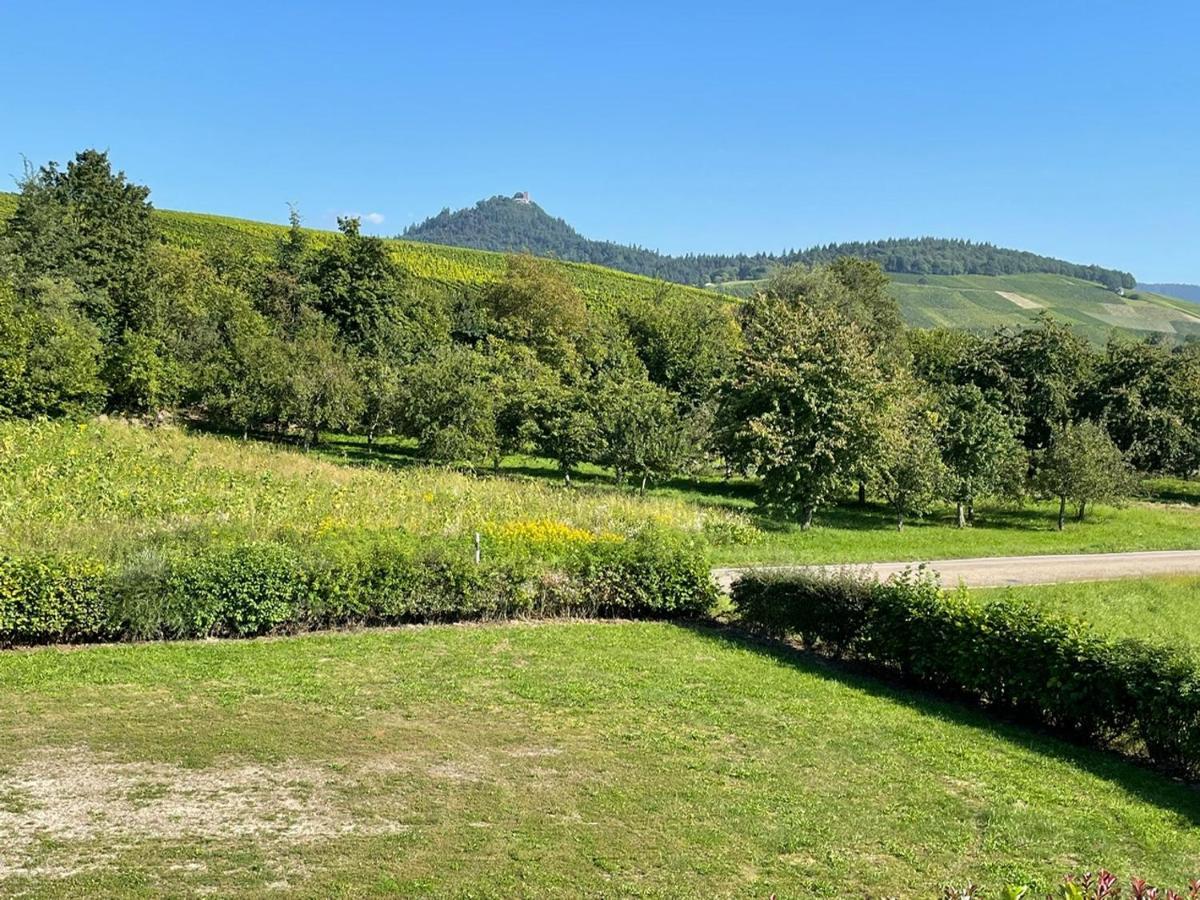 Ferienwohnung Reblandblick Baden-Baden Zewnętrze zdjęcie
